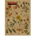Записная книга А6, 36 листов (серия Vintage)